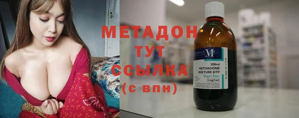 гидра Гусев