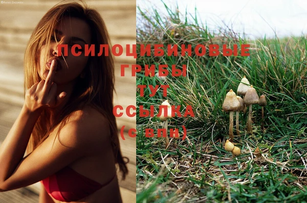 гидра Нягань