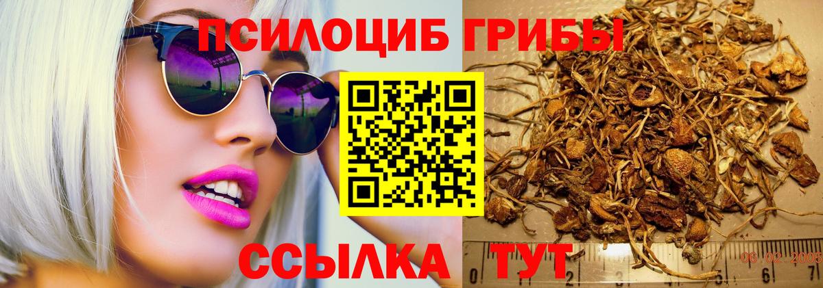 Соль-Илецк  Галлюциногенные грибы мухоморы  Псилоцибиновые грибы MAGIC MUSHROOMS  Вход с VPN 