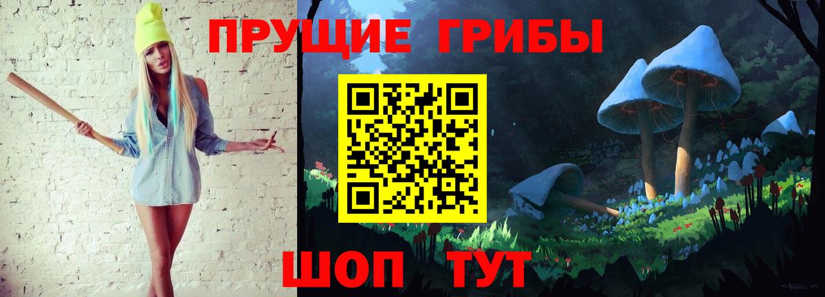 Галлюциногенные грибы Psilocybe Соль-Илецк
